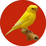 com.ahmad_ht.ghanare