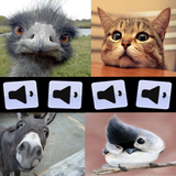 ir.saboo.sedaheyvanatt