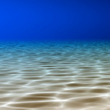 com.livephoto.live_wallpaper.underthesea