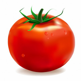 org.nokteh.vegetables