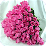 mr.parvareshgologiahvaderakht