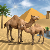 com.trillion.virtual.camel.family.jungle