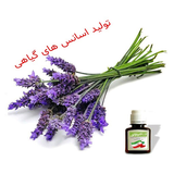 ir.tolede.esansehae.geyahe.d