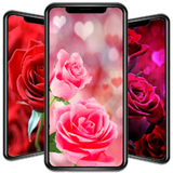 com.hkalil.paper.valentine.apk01