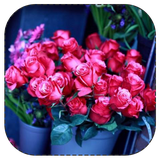 hekayat.haye.rangaranG