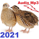 com.andromo.dev883170.app1074945