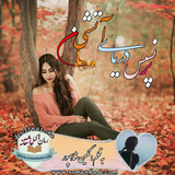 ir.ali.gholami.PDARATASHIN