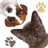 org.foxartgames.findpet