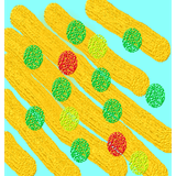 com.rax.eduninemajmoe