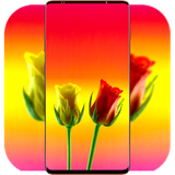 com.RoseWallpaper.flowerwallpaper.naturewallpaper.rosebackground