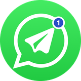 cycloneworld.whatsdirect