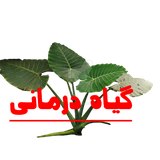 plantmed.towentytwo22