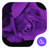 com.apusapps.theme.i_purple_flower_4e40c727b6
