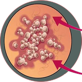 com.khorshid_ht.bemarrezege