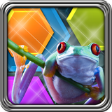 com.gabysoft.hexlogiczoo