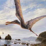 com.HGames.NippyPrehistoricBird