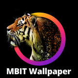 com.mbit.hdwallpaper.bestwallpaper.mbit4khdwallpaper.livewallpaper