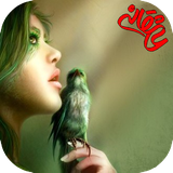 com.imate.zirepayeeshgh