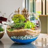 com.terrarium