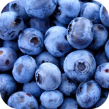 com.andromo.dev230101.app319996