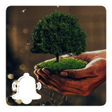 com.hadifetrati.Ringtone_Tabiat