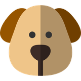 com.amirho33einfld.pupy