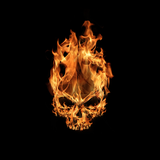 com.blackbirdwallpapers.fire