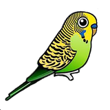 afraa.team.morgheeshgh