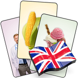 com.arsnetworks.flashcards.ir.english