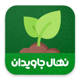 nahaljavidan.mehran.mome.com.nahalejavidan