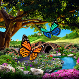 com.blackbirdwallpapers.summerbutterflies