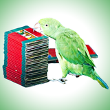 com.tamilmalarapps.kilijosiyam_tamil