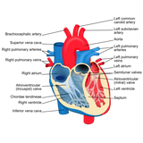 mehza2000.mehza200043