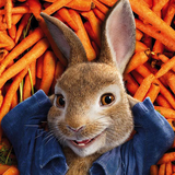 com.video.mortezaT176