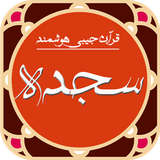 ir.amaryon313.saejde