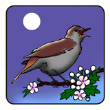 ir.parvaresh.va.negahdare.bolbol.d