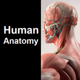 com.sanaedutech.human_anatomy