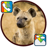 com.hyena.ringtones