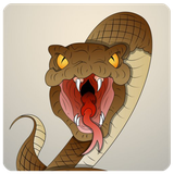 com.pranagroup.maarkhor