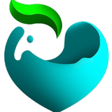 com.ir.hoonammaharat.samanebehnood