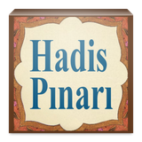 ir.islamoid.project.hadispinari