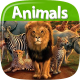 air.AnimalsDictionary