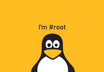 آسیب‌پذیری Netfilter در لینوکس