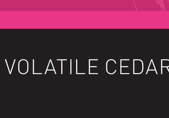 حملات گروه Volatile Cedar