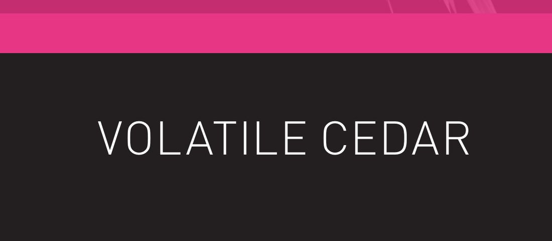 حملات گروه Volatile Cedar