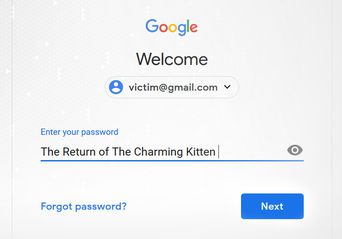 بازگشت بچه گربه جذاب