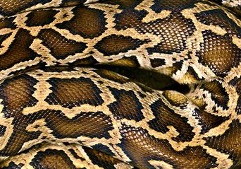 بدافزارهای گروه HIDDEN COBRA